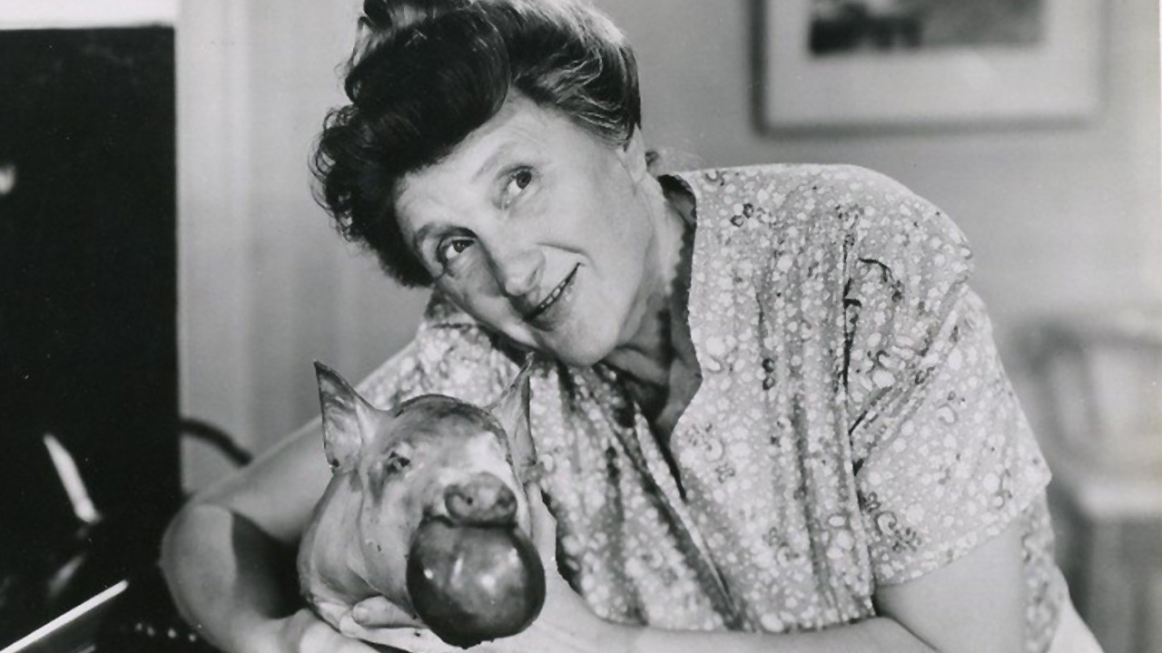 Ma and Pa Kettle Collection background